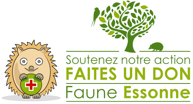Soutenez notre action, faites un don à Faune Essonne